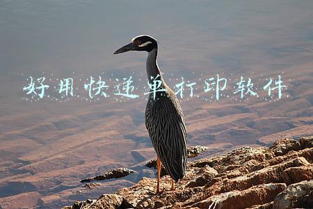 好用快递单打印软件