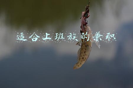 上班族可以做的兼职有哪些(适合上班族做的兼职有哪些？)