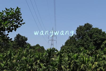 旺旺集团(旺旺集团荣获第十届中国食品健康七星奖)