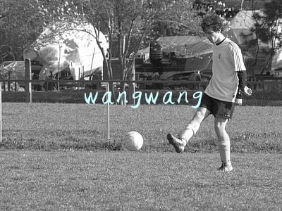 wangwang