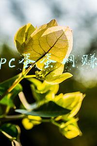 pc蛋蛋网赚
