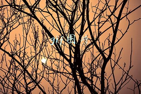 gif图片转换成jpg(怎么把gif变成一张一张的图片？)