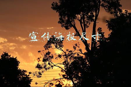 宣传海报尺寸
