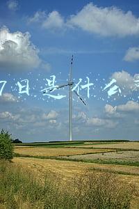 3月7日是什么节日