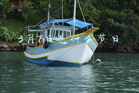 3月7日是什么节日