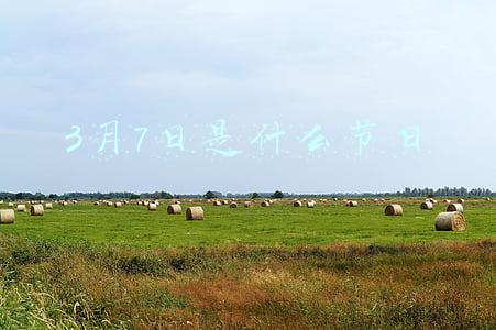 3月7日是什么节日
