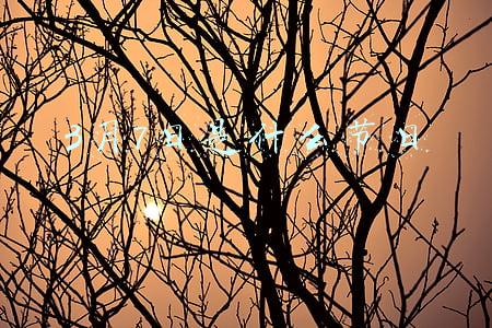 3月7日是什么节日
