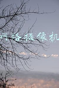 高清网络摄像机品牌
