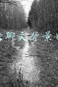 微信聊天背景图片