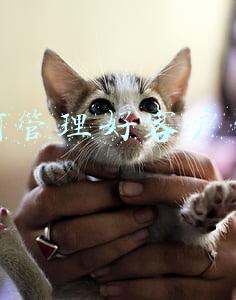 如何管理好客户资料