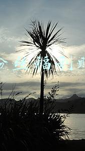 粉丝福利购
