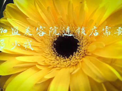 美容院加盟10大品牌有哪些：美容店加盟哪家