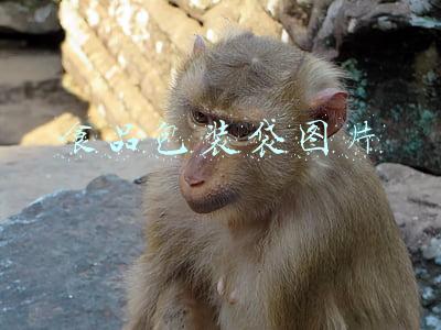 食品包装袋图片