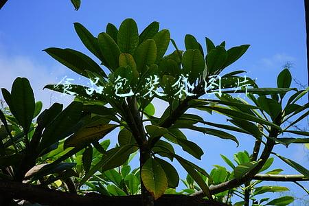 食品包装袋图片