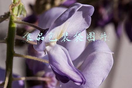 有生产日期的食品包装袋图片(为什么各种包装袋上的生产日期翻来覆去不好找到？)