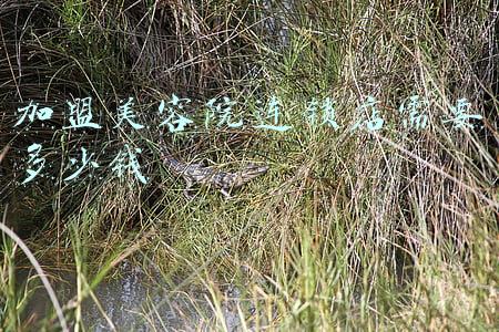 小型美容院品牌加盟：加盟小型美容院连锁店