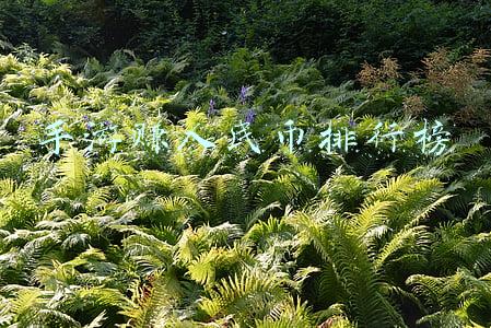手游赚人民币排行榜