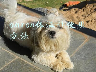 omron血压计(具备智能手表功能：OMRON 欧姆龙 发布 Project Zero 腕式电子血压计)