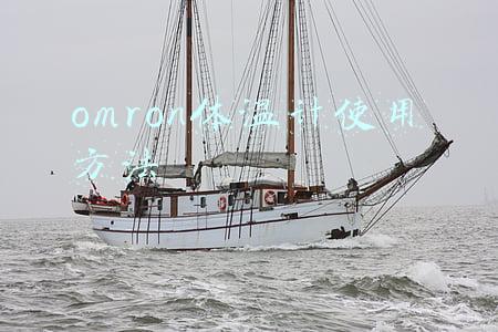 omron体温计使用方法