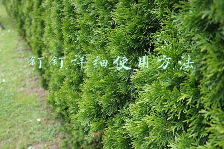 钉钉详细使用方法