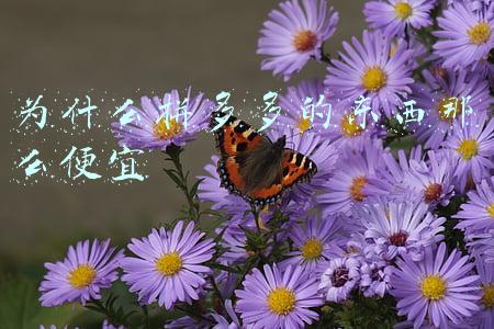 为什么拼多多的东西那么便宜