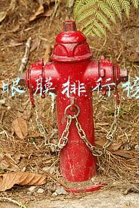 十大眼膜排行榜10强