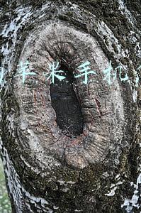 捡到的苹果手机怎么解id锁