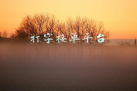 手机打字接单平台(电话能约、软件能约、小程序也能约，潍坊95128平台全国领先)