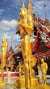 褥羊毛啥意思