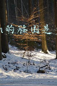80cm的腰围是多少尺
