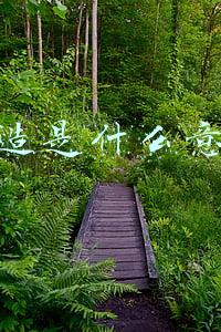 塑造是什么意思