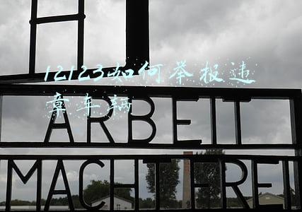 12123如何举报违章车辆教程(@所有人！这些交通违法行为可以向12123举报啦！)