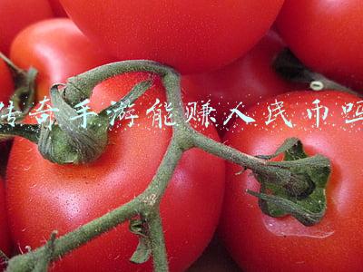 传奇手游可以赚钱吗(传奇游戏打金到底是怎么样的？靠谱吗？)