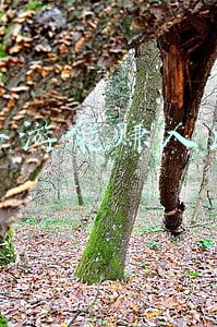 传奇手游可以赚人民币吗(传奇手游：努力搬砖，教你打金无压力)