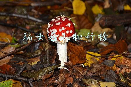 瑞士名表排行榜