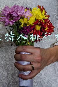 主持人排行榜 主持人排行榜