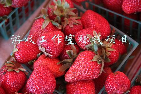 游戏工作室赚钱项目