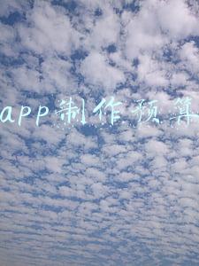 app制作预算