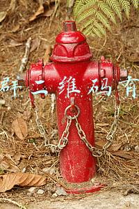 微信群二维码有效期延长(话剧卡还没到期咋不能用？青岛演艺集团：必须在1月底前激活)