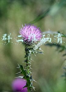 微信群二维码有效期
