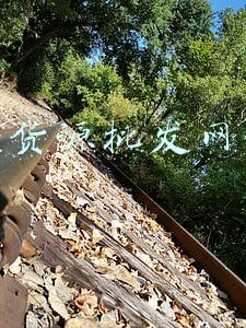 广州货源批发网全部