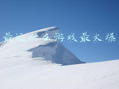 最近什么游戏最火爆
