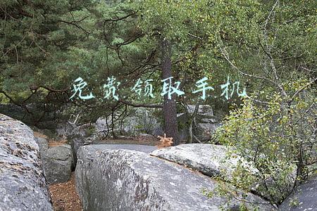 免费领取手机