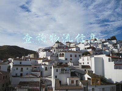 查询物流信息