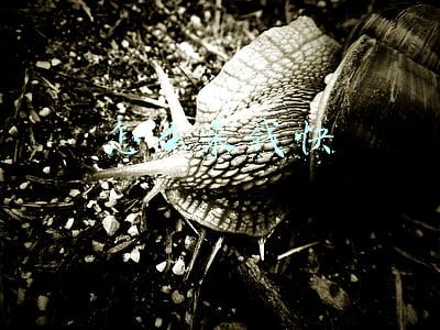 怎么来钱快不犯法(千万别违法，农村小伙月入千万，看看他是怎么做到的)