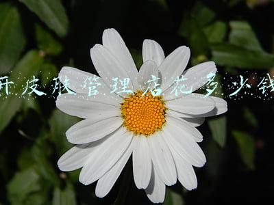 开一家小型皮肤管理工作室挣钱吗？_开皮肤管理店赚钱吗