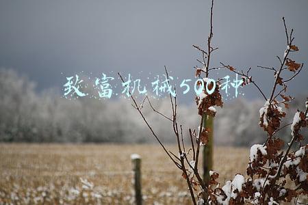 致富机械500种