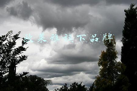 欧莱雅旗下品牌