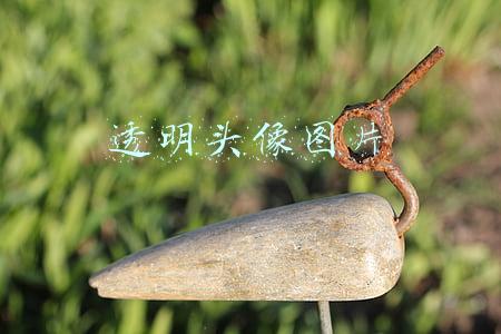 透明头像图片
