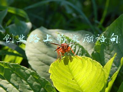 创业路上的激励语句朋友圈(乐观向上的朋友圈文案，励志文字名言+文案)